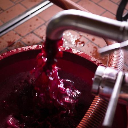 I Dolci Grappoli Villa Larino Eksteriør billede